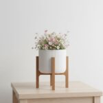 Vaso para Quarto Plantas Elevare - Dia dos Pais