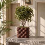 Vaso Decorativo Para Plantas Chesterra
