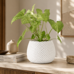 Vasos Para Plantas Modernos Com Nervuras