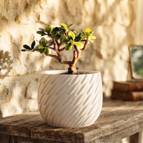 Vaso Decorativo para Plantas Lioren
